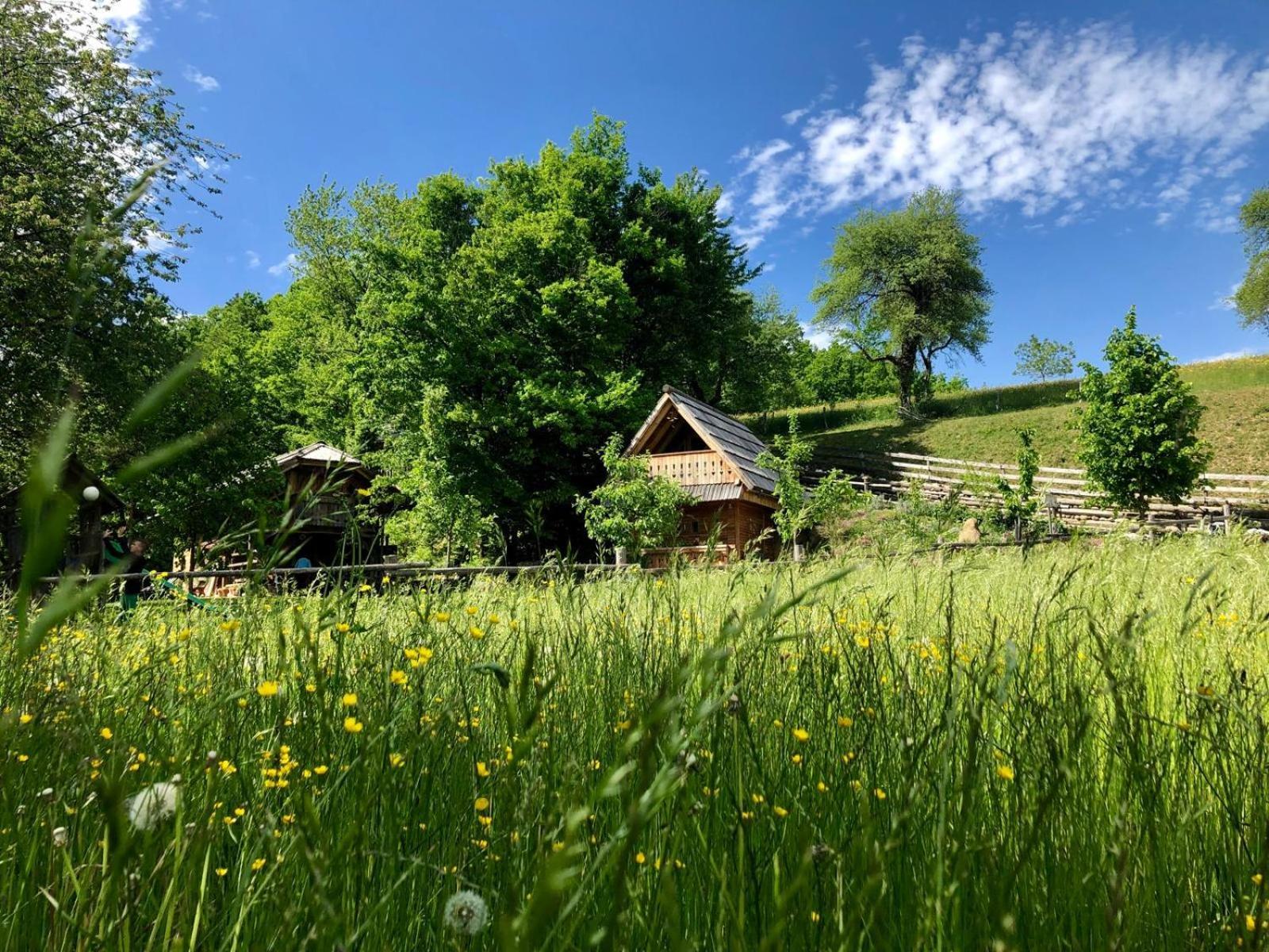 Hotel Glamping Savinja à Ljubno Extérieur photo