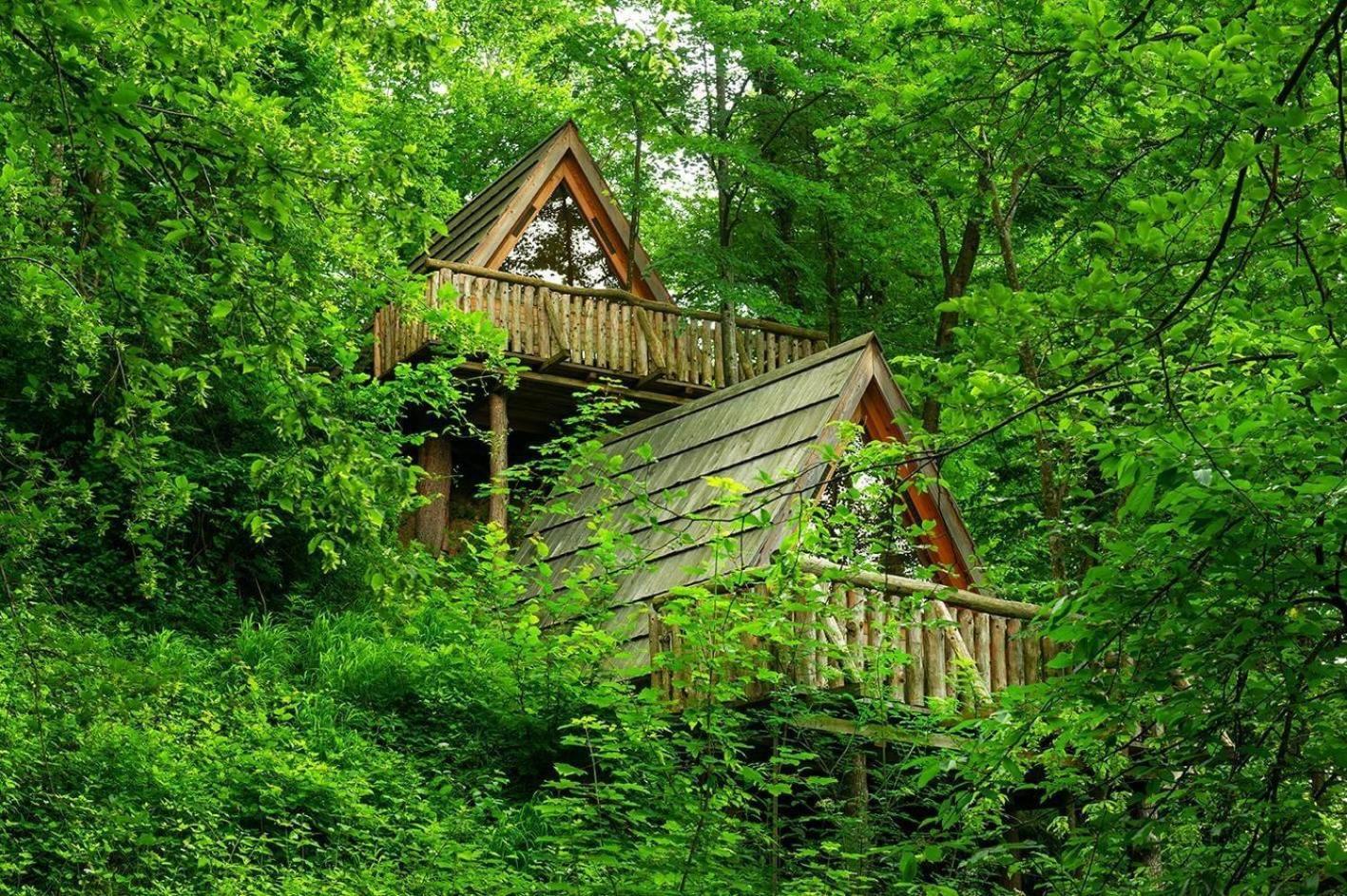 Hotel Glamping Savinja à Ljubno Extérieur photo